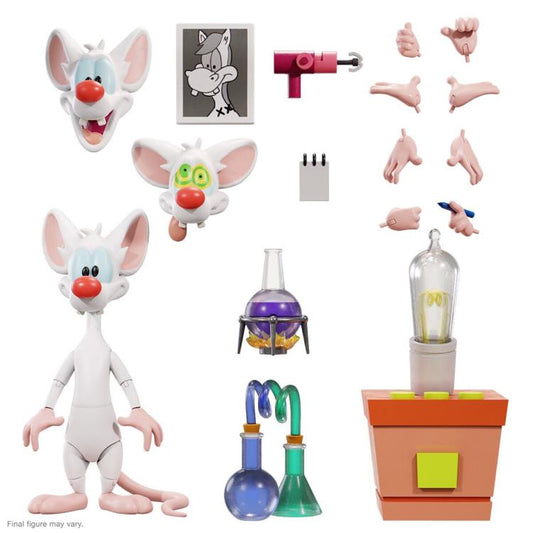 Animaniacs ULTIMATES! Wave 1 Set of 5 Figures