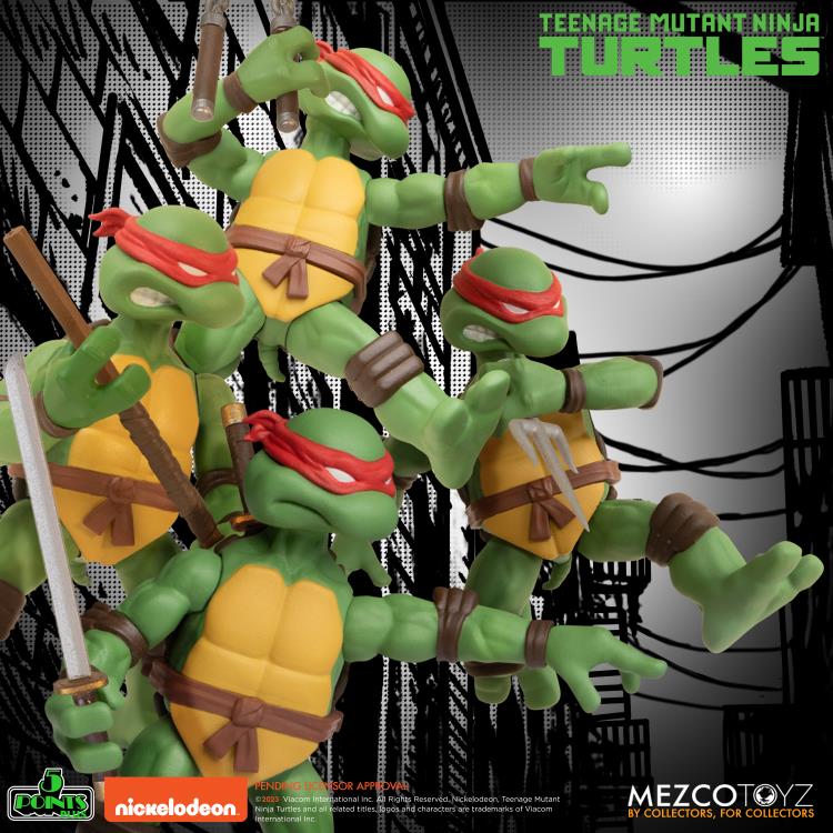 Teenage Mutant Ninja Turtles 5 Points Plus Boxed Set
