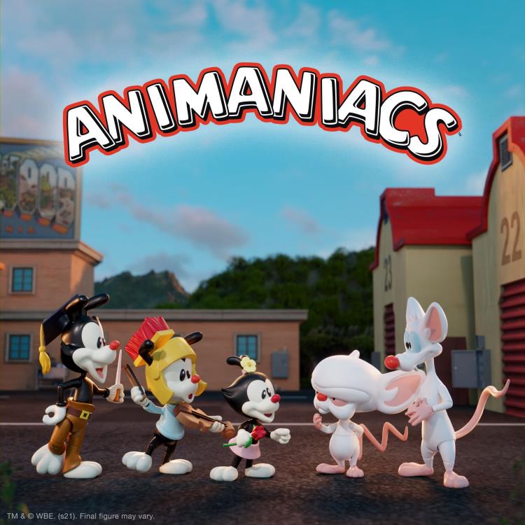 Animaniacs ULTIMATES! Wave 1 Set of 5 Figures
