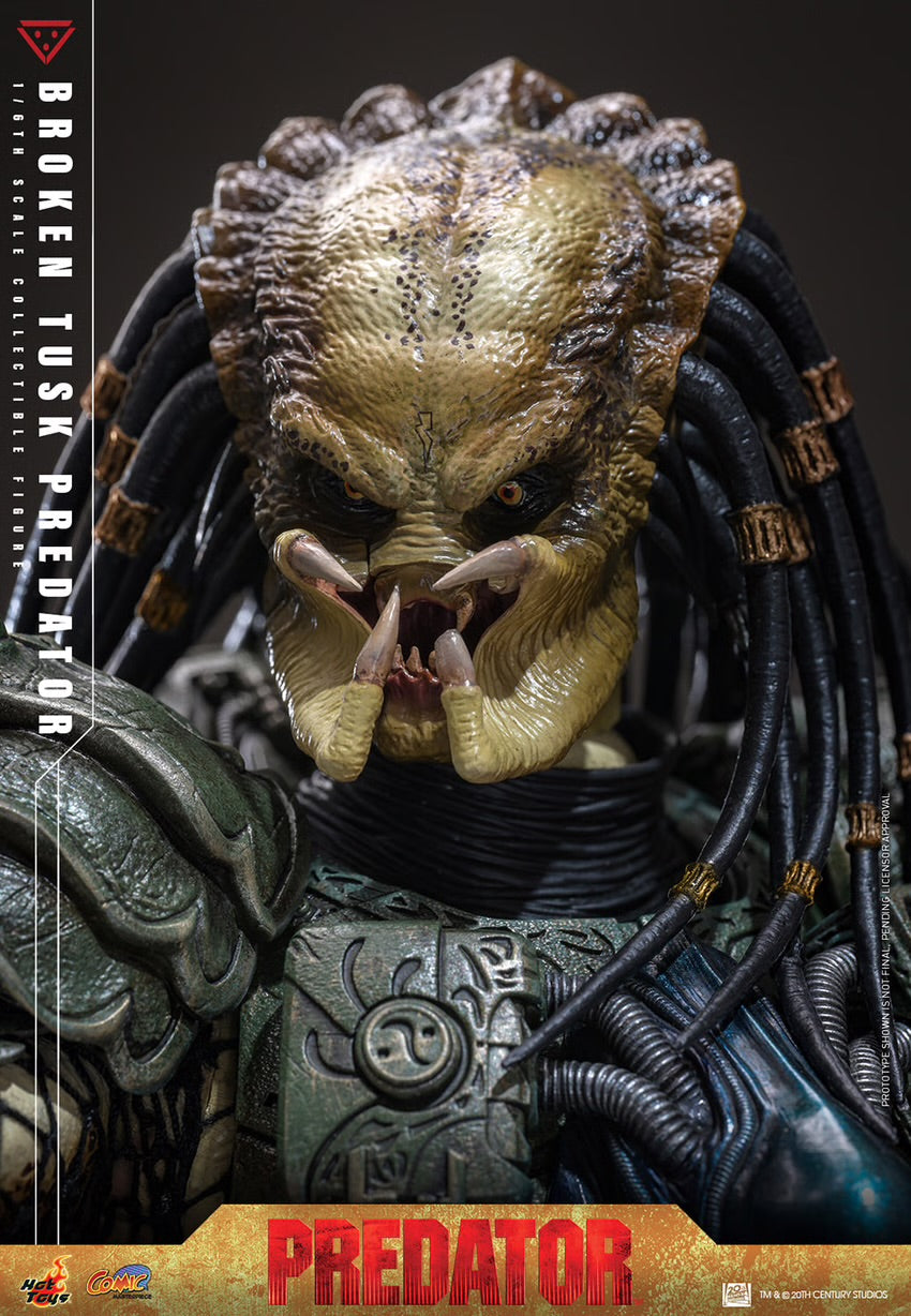 Pre-Order - Broken Tusk Predator CMS029 1/6th Scale Collectible Figure