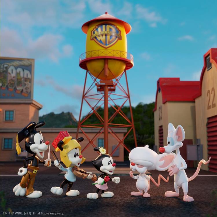 Animaniacs ULTIMATES! Wave 1 Set of 5 Figures