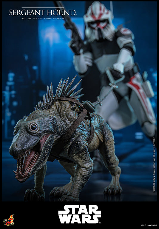 Pre-Order - Star Wars: The Clone Wars TMS000 Sergeant Hound 1/6th Scale Collectible Figure