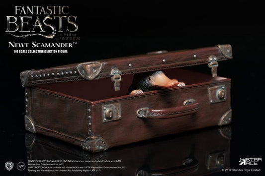 Fantastic Beasts and Where to Find Them Newt Scamander 1/6 Scale Collectible Figure