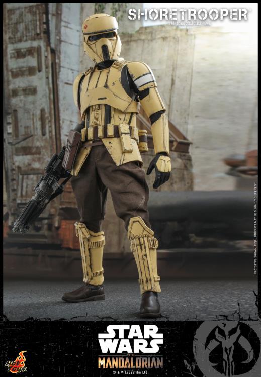 The Mandalorian TMS031 Shoretrooper 1/6th Scale Collectible Figure