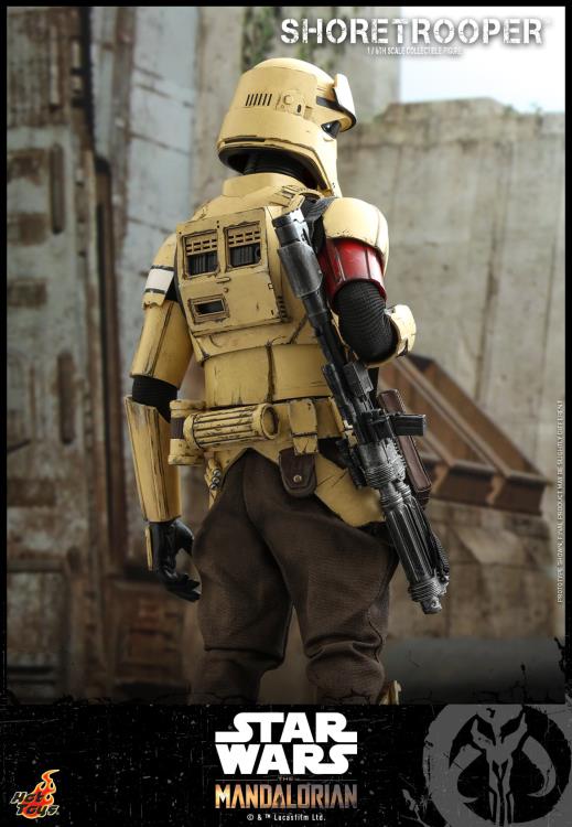 The Mandalorian TMS031 Shoretrooper 1/6th Scale Collectible Figure