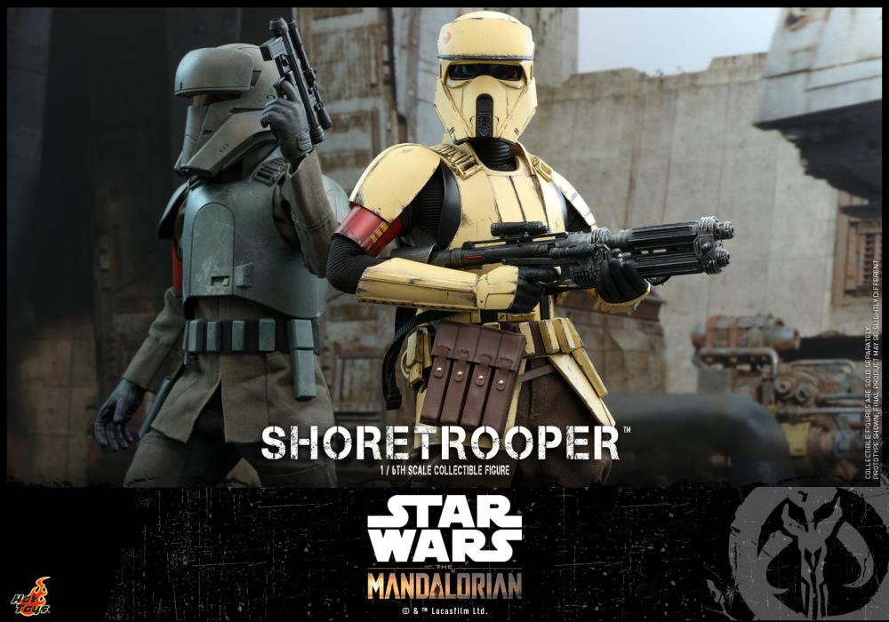 The Mandalorian TMS031 Shoretrooper 1/6th Scale Collectible Figure