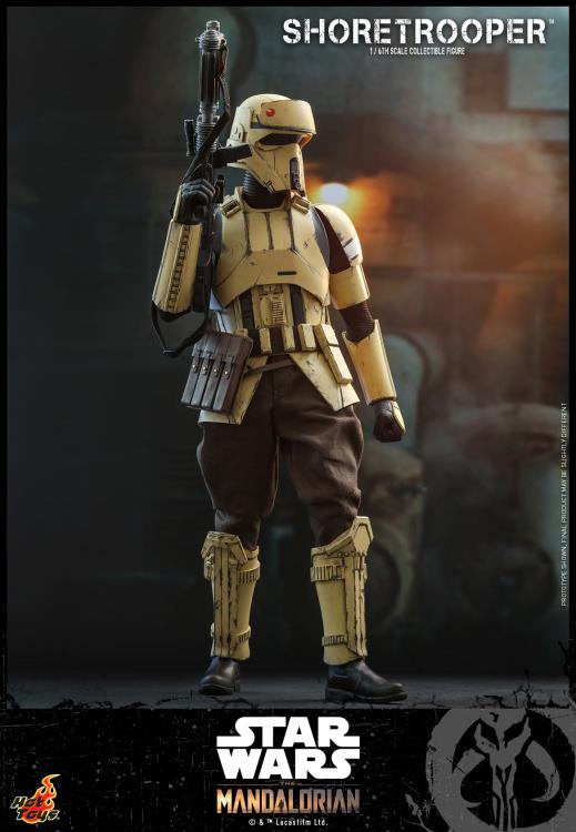 The Mandalorian TMS031 Shoretrooper 1/6th Scale Collectible Figure