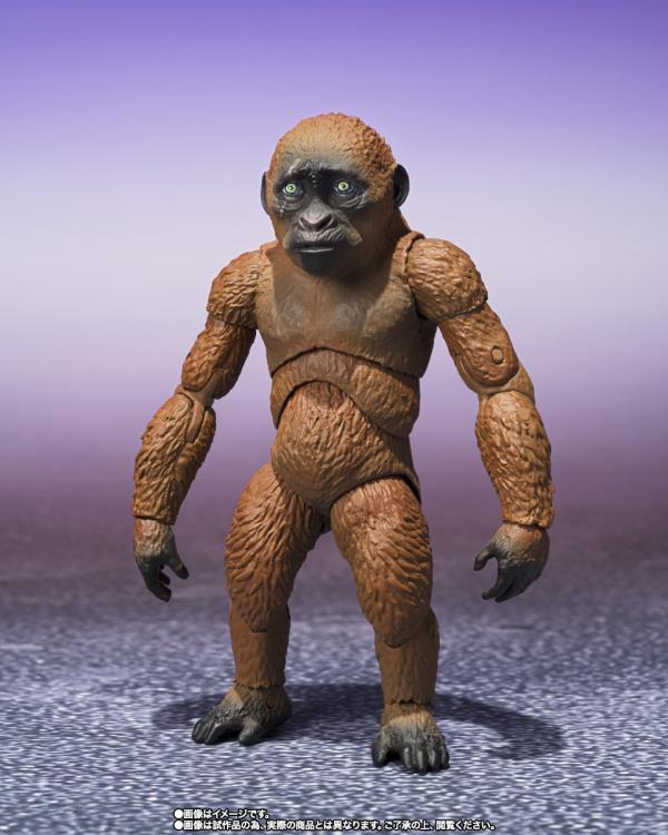Godzilla x Kong: The New Empire S.H.MonsterArts Suko & Mothra