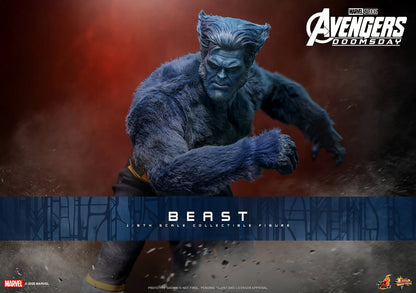 Pre-Order - Avengers: Doomsday MMS920 Beast 1/6th Scale Collectible Figure