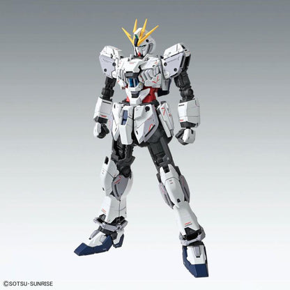Mobile Suit Gundam Narrative MG Narrative Gundam C-Packs (Ver.Ka) 1/100 Scale Model Kit