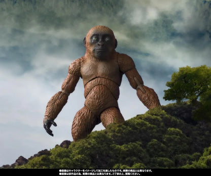 Godzilla x Kong: The New Empire S.H.MonsterArts Suko & Mothra