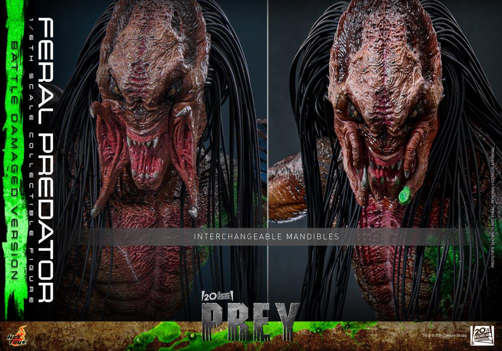 Pre-Order - Prey TMS173 Feral Predator (Battle Damaged Ver.) 1/6th Scale Collectible Figure