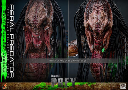 Pre-Order - Prey TMS173 Feral Predator (Battle Damaged Ver.) 1/6th Scale Collectible Figure
