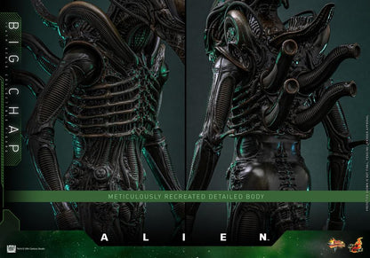Pre-Order - Alien MMS826 Big Chap 1/6th Scale Collectible Figure
