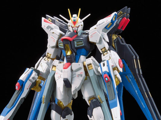 Mobile Suit Gundam SEED Destiny RG Strike Freedom Gundam 1/144 Scale Model Kit
