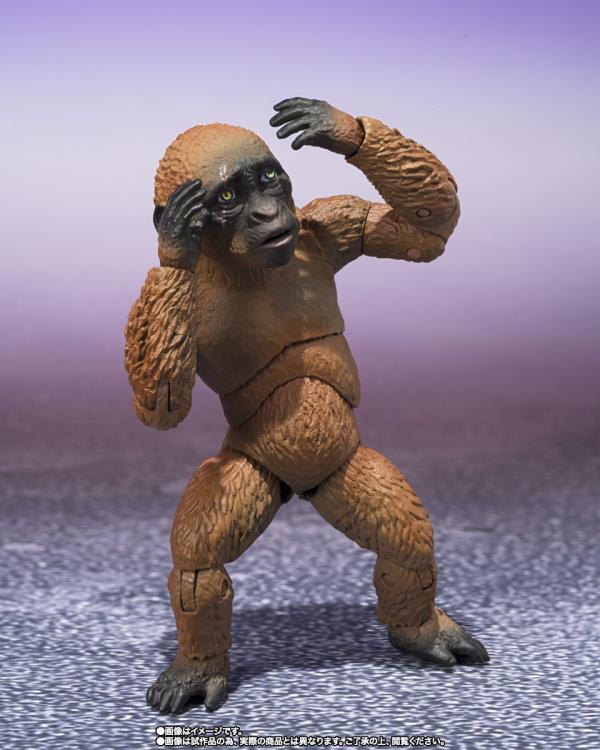Godzilla x Kong: The New Empire S.H.MonsterArts Suko & Mothra