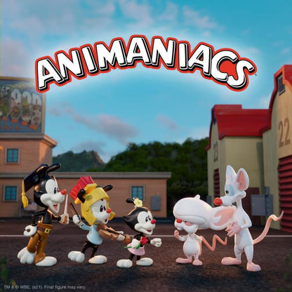Animaniacs ULTIMATES! Wave 1 Set of 5 Figures