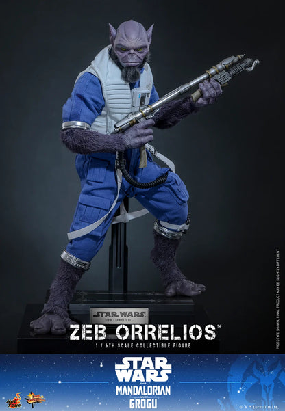 Pre-Order: Star Wars: The Mandalorian & Grogu MMS876 Zeb Orrelios 1/6th Scale Collectible Figure