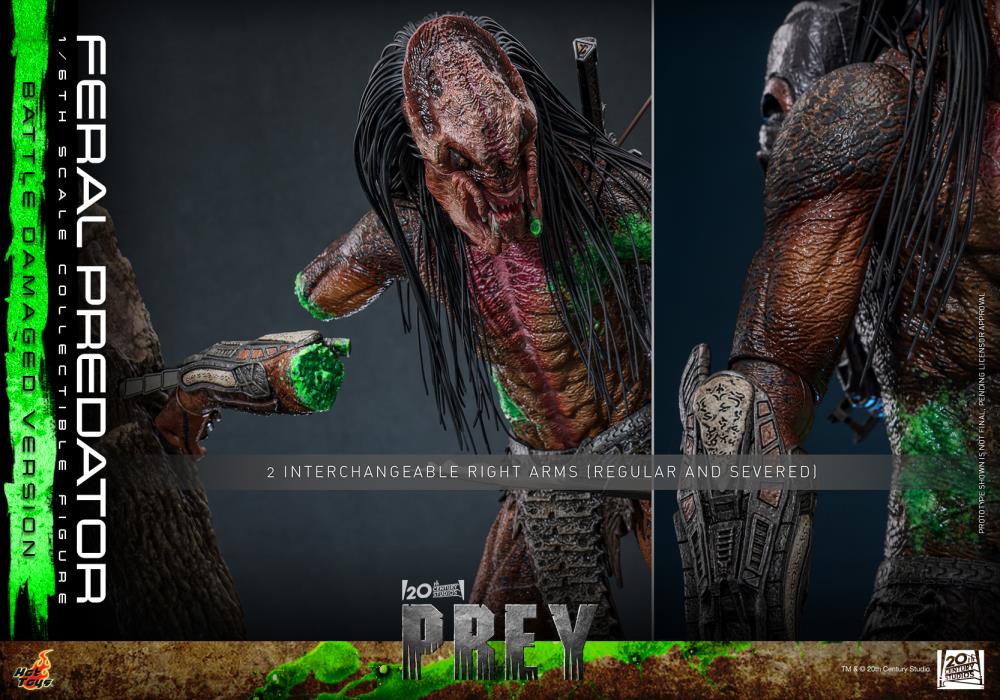 Pre-Order - Prey TMS173 Feral Predator (Battle Damaged Ver.) 1/6th Scale Collectible Figure