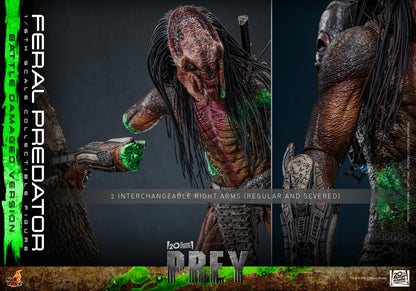 Pre-Order - Prey TMS173 Feral Predator (Battle Damaged Ver.) 1/6th Scale Collectible Figure