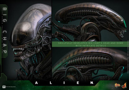 Pre-Order - Alien MMS826 Big Chap 1/6th Scale Collectible Figure