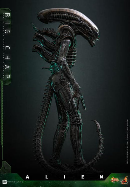 Pre-Order - Alien MMS826 Big Chap 1/6th Scale Collectible Figure