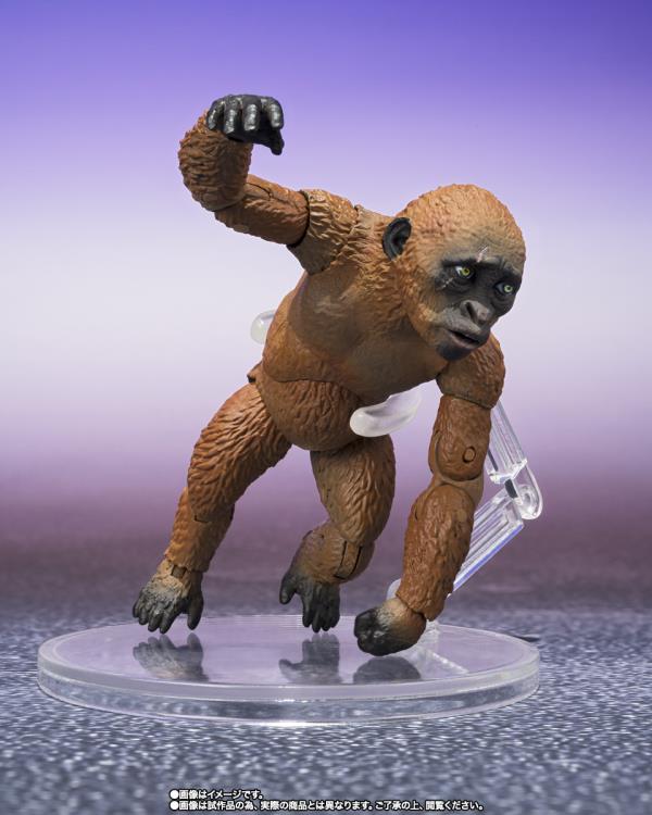 Godzilla x Kong: The New Empire S.H.MonsterArts Suko & Mothra