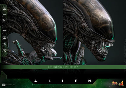 Pre-Order - Alien MMS826 Big Chap 1/6th Scale Collectible Figure