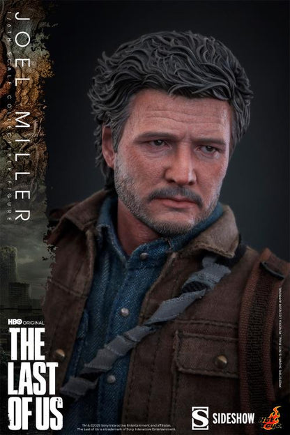 Pre-Order -  The Last of Us TMS160 Joel Miller 1/6th Scale Collectible Figure