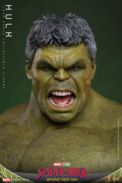 Pre-Order - Spider-Man: Brand New Day MMS905 Hulk 1/6th Scale Collectible Figure