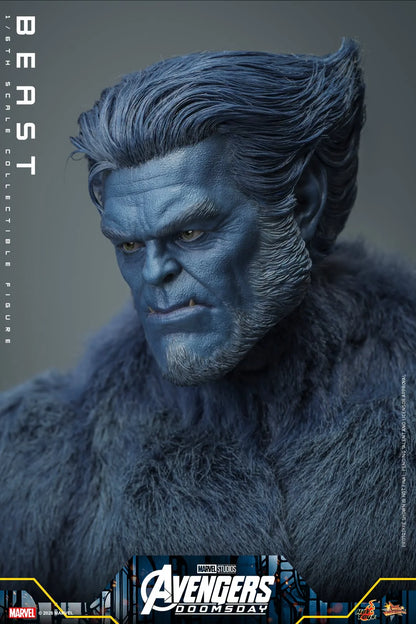 Pre-Order - Avengers: Doomsday MMS920 Beast 1/6th Scale Collectible Figure