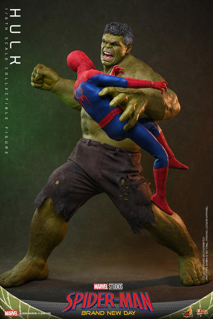 Pre-Order - Spider-Man: Brand New Day MMS905 Hulk 1/6th Scale Collectible Figure