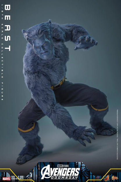 Pre-Order - Avengers: Doomsday MMS920 Beast 1/6th Scale Collectible Figure