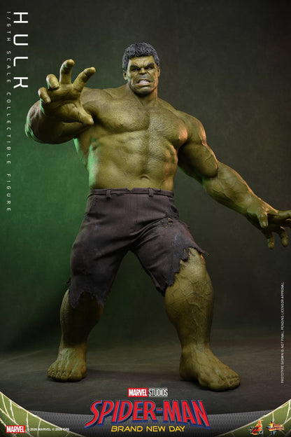 Pre-Order - Spider-Man: Brand New Day MMS905 Hulk 1/6th Scale Collectible Figure