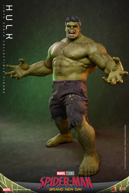 Pre-Order - Spider-Man: Brand New Day MMS905 Hulk 1/6th Scale Collectible Figure