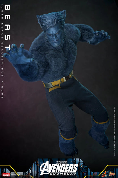 Pre-Order - Avengers: Doomsday MMS920 Beast 1/6th Scale Collectible Figure