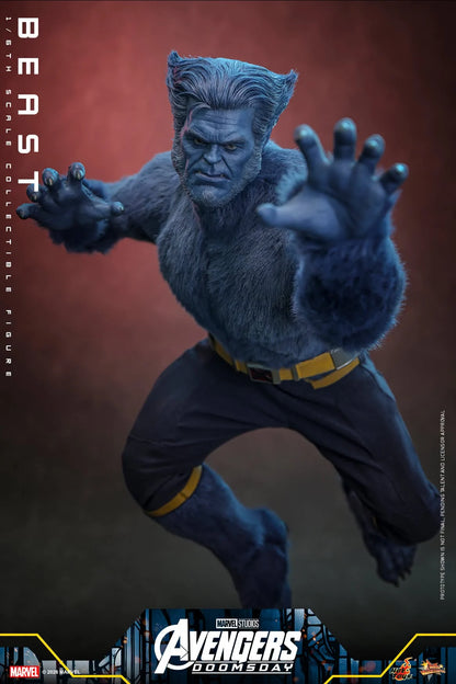 Pre-Order - Avengers: Doomsday MMS920 Beast 1/6th Scale Collectible Figure
