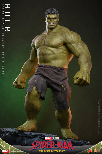 Pre-Order - Spider-Man: Brand New Day MMS905 Hulk 1/6th Scale Collectible Figure