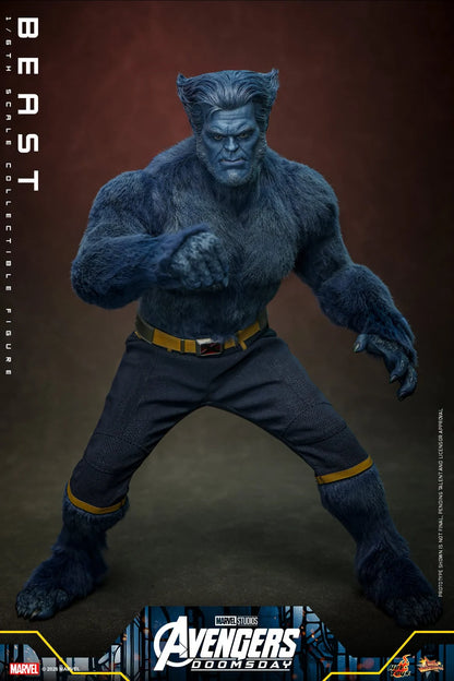 Pre-Order - Avengers: Doomsday MMS920 Beast 1/6th Scale Collectible Figure