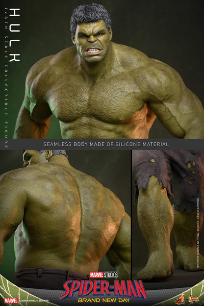 Pre-Order - Spider-Man: Brand New Day MMS905 Hulk 1/6th Scale Collectible Figure