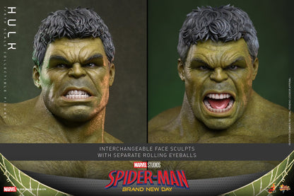 Pre-Order - Spider-Man: Brand New Day MMS905 Hulk 1/6th Scale Collectible Figure