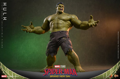 Pre-Order - Spider-Man: Brand New Day MMS905 Hulk 1/6th Scale Collectible Figure