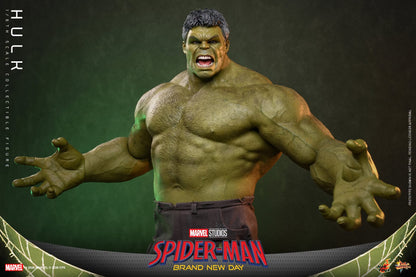 Pre-Order - Spider-Man: Brand New Day MMS905 Hulk 1/6th Scale Collectible Figure