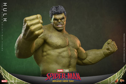 Pre-Order - Spider-Man: Brand New Day MMS905 Hulk 1/6th Scale Collectible Figure