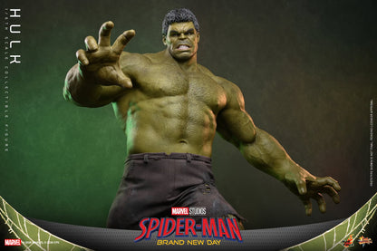 Pre-Order - Spider-Man: Brand New Day MMS905 Hulk 1/6th Scale Collectible Figure