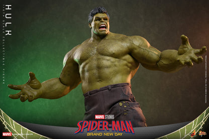 Pre-Order - Spider-Man: Brand New Day MMS905 Hulk 1/6th Scale Collectible Figure