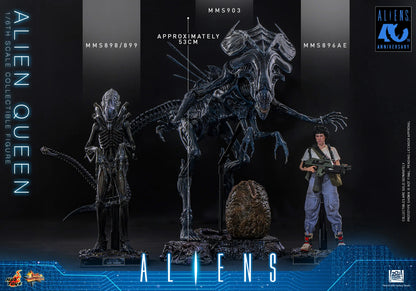 Pre-Order - Aliens MMS903 Alien Queen 1/6th Scale Collectible Figure