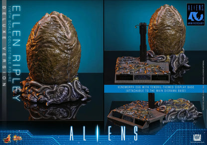 Pre-Order - Aliens MMS895 Ellen Ripley (Deluxe Ver.) 1/6th Scale Collectible Figure