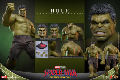 Pre-Order - Spider-Man: Brand New Day MMS905 Hulk 1/6th Scale Collectible Figure