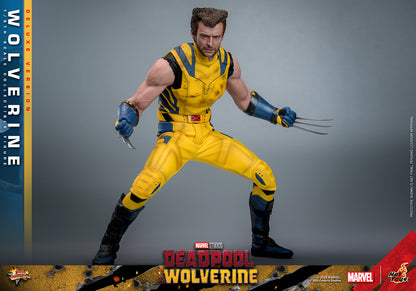 Pre-Order - Deadpool & Wolverine MMS754 Wolverine (Deluxe Ver.) 1/6th Scale Collectible Figure